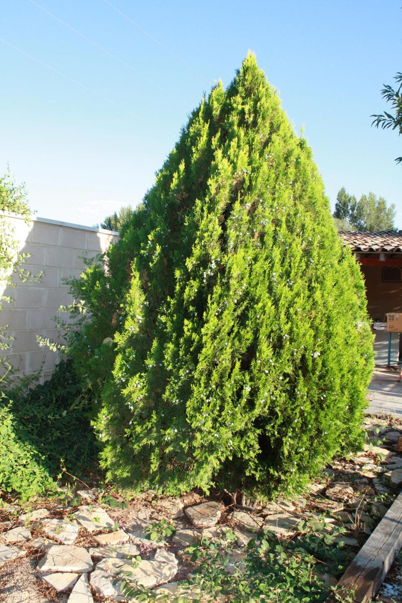 Apartmán Loft La Buena Vida Penaranda de Duero Exteriér fotografie