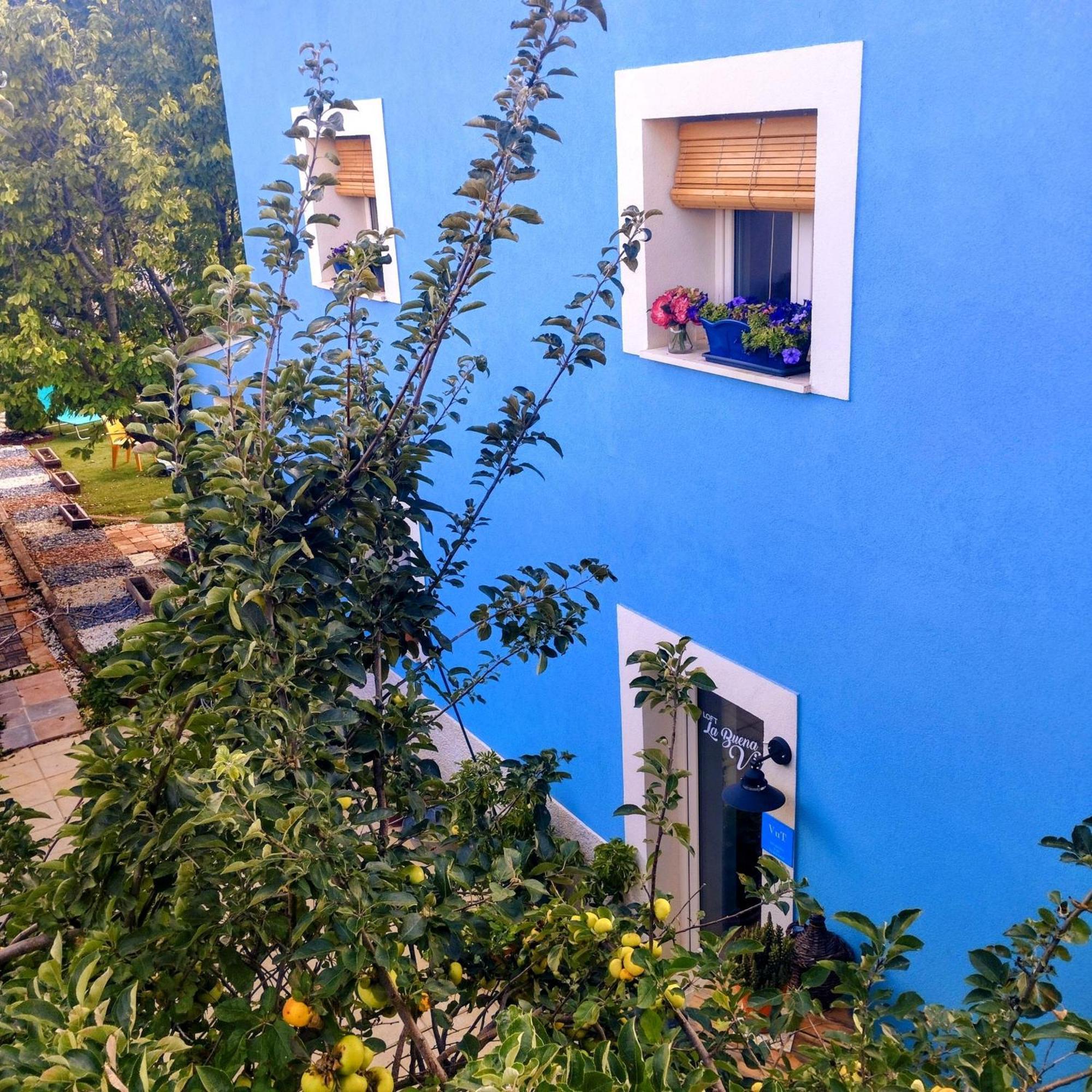 Apartmán Loft La Buena Vida Penaranda de Duero Exteriér fotografie